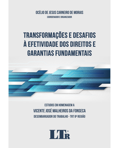 Transformações e Desafios à Efetividade dos Direitos e Garantias Fundamentais