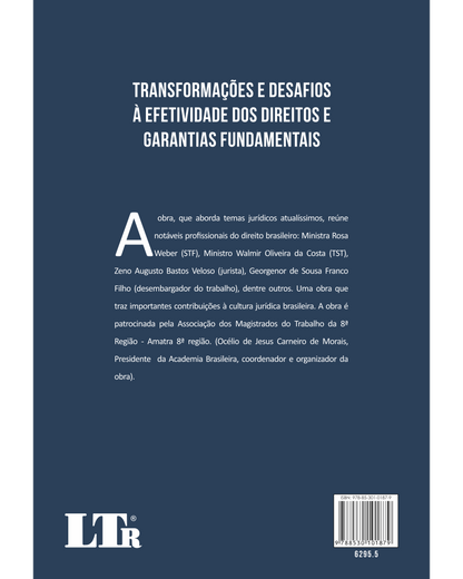 Transformações e Desafios à Efetividade dos Direitos e Garantias Fundamentais