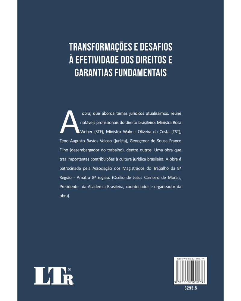 Transformações e Desafios à Efetividade dos Direitos e Garantias Fundamentais