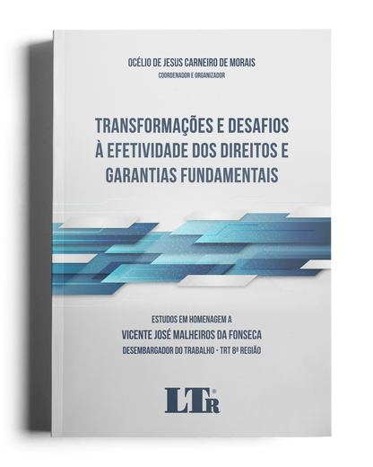 Transformações e Desafios à Efetividade dos Direitos e Garantias Fundamentais