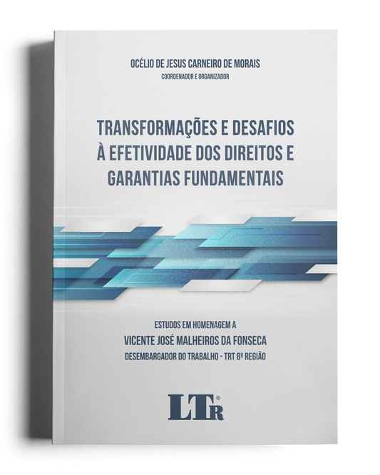 Transformações e Desafios à Efetividade dos Direitos e Garantias Fundamentais