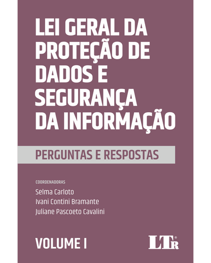 Lei Geral da Proteção de Dados e Segurança da Informação: Perguntas e Respostas