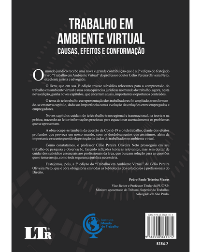 Trabalho em Ambiente Virtual: Causas, Efeitos e Conformação